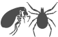 Flea and Tick