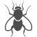 Housefly