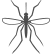 Mosquito