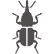 Stored Product Pest