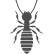 Termite