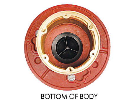 BOTTOM OF BODY