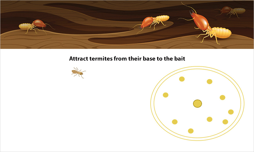 How does the baiting system works?