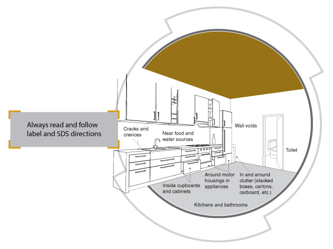 Cockroach bait application sites | Cracks and crevices | Near food and water sources | Inside cupboards and cabinets | Around motor housings in appliances | In and around clutter | Kitchens and bathrooms | Always read and follow label and SDS directions
