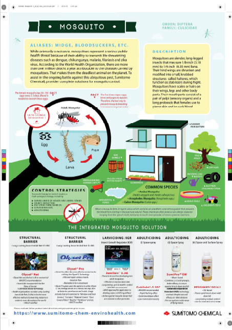 Mosquito Infographic and Solution